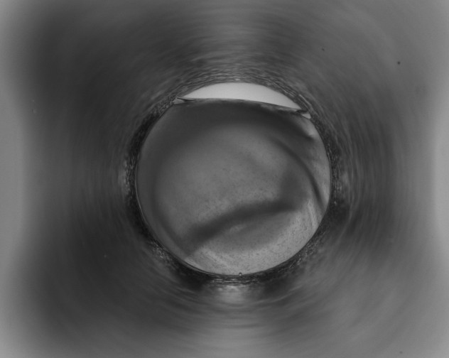 X0000091640658200709201109