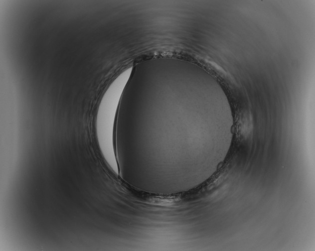 X0000091640661200709201109