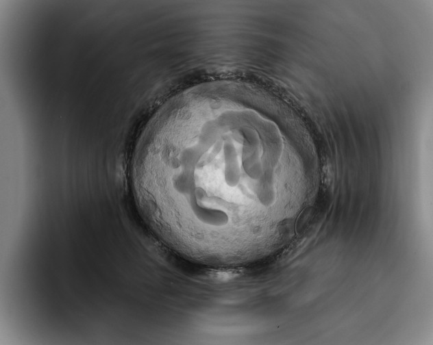 X0000091640662200709201109