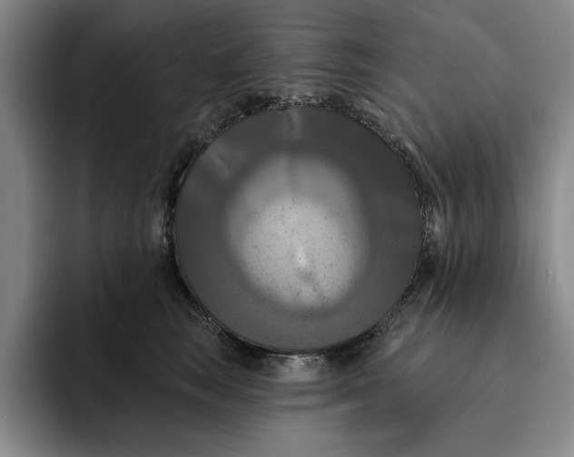X0000091640663200709201109