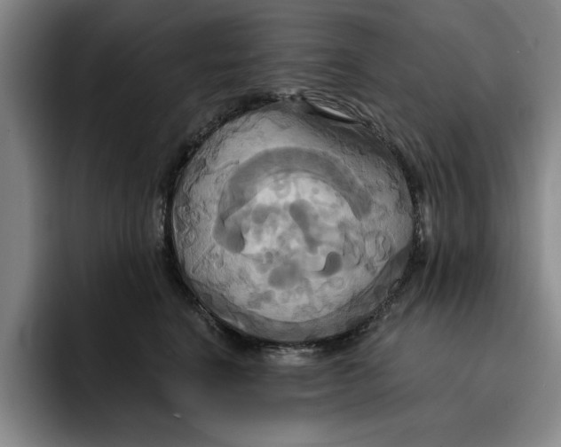 X0000091640664200709201109