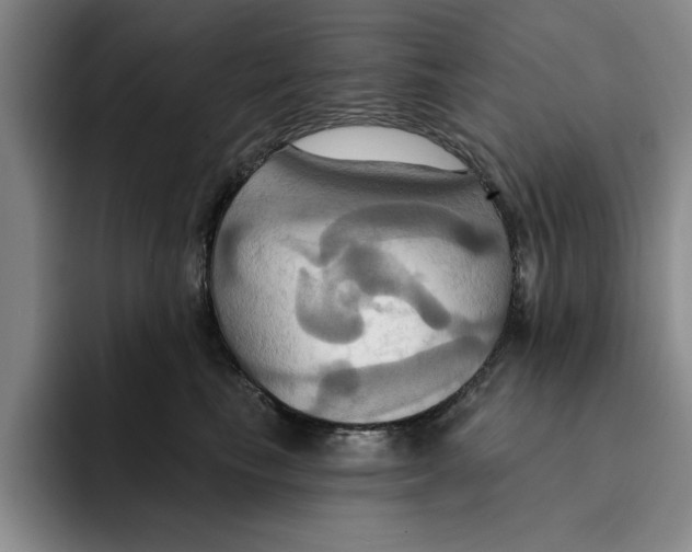 X0000091640665200709201109