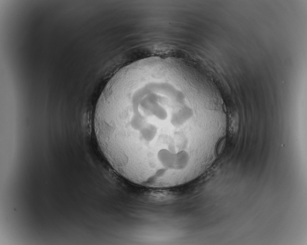 X0000091640666200709201109