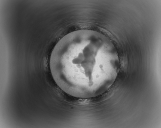 X0000091640667200709201109