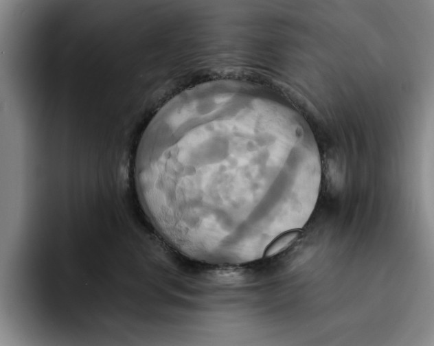 X0000091640668200709201109