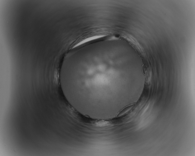 X0000091640669200709201109