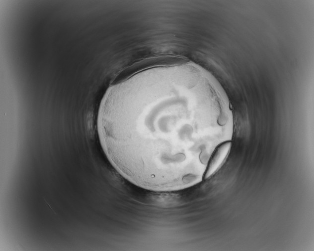 X0000091640670200709201109