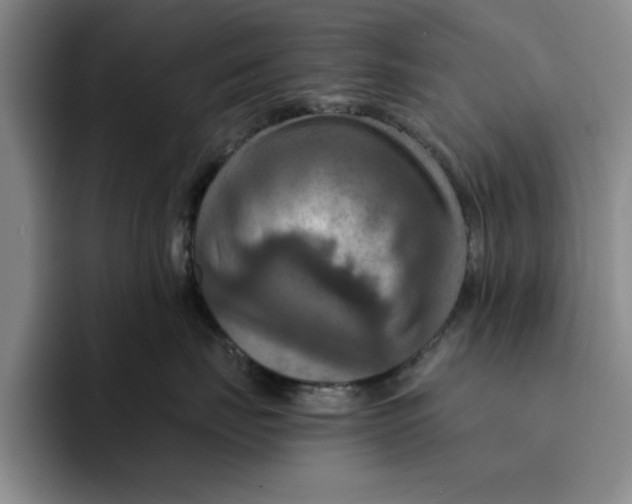 X0000091640671200709201109