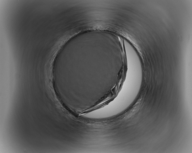 X0000091640673200709201108
