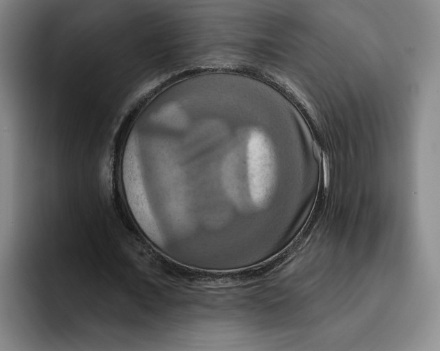 X0000091640675200709201108