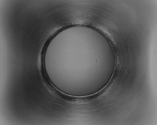 X0000091640678200709201108