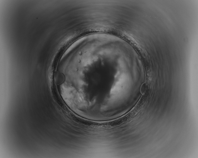 X0000091640679200709201108