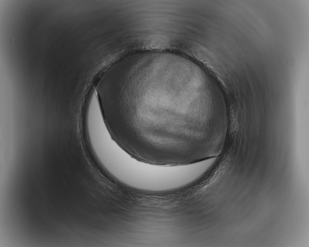 X0000091640681200709201108