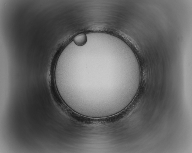 X0000091640682200709201108