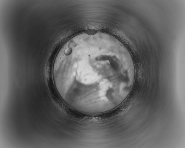 X0000091640683200709201108