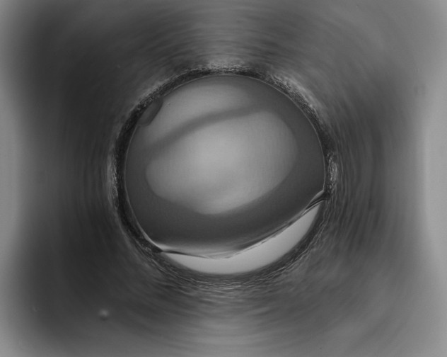 X0000091640684200709201108