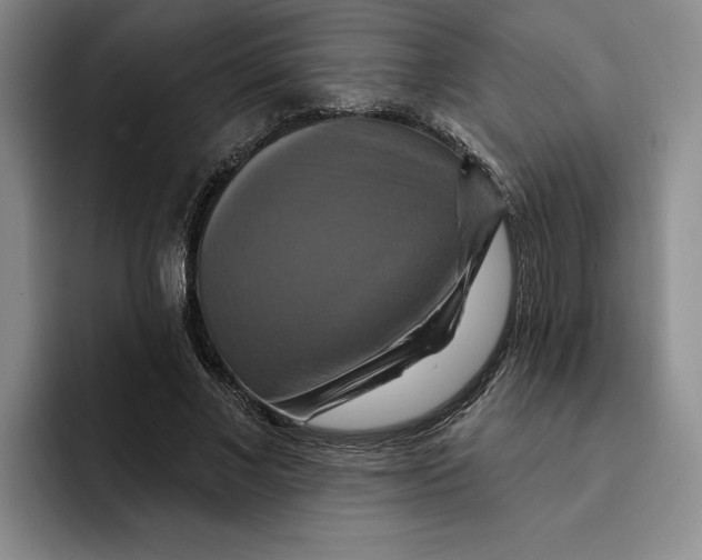 X0000091640685200709201108