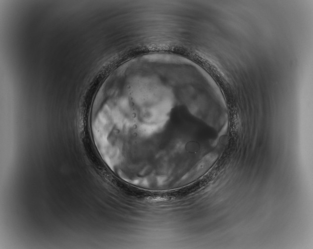 X0000091640687200709201108