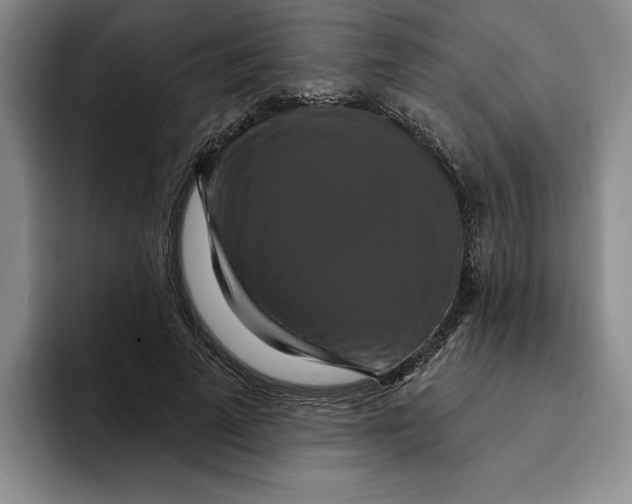X0000091640689200709201108