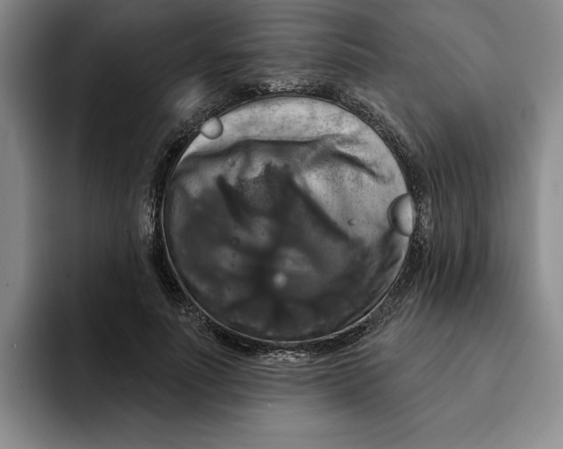 X0000091640691200709201108