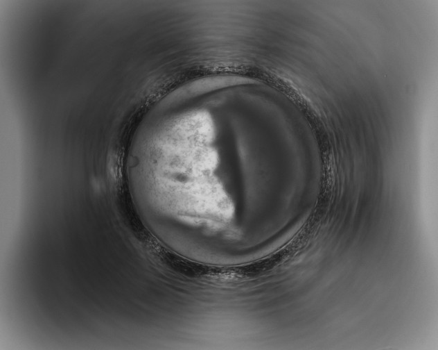 X0000091640695200709201108