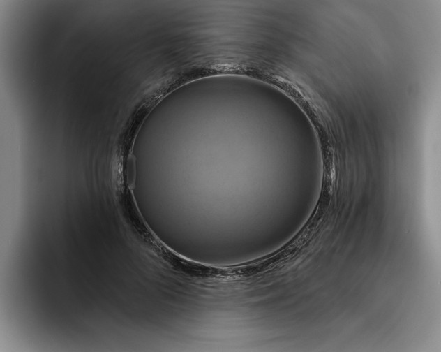 X0000091640696200709201108