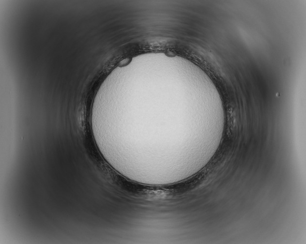 X0000091640698200709201108
