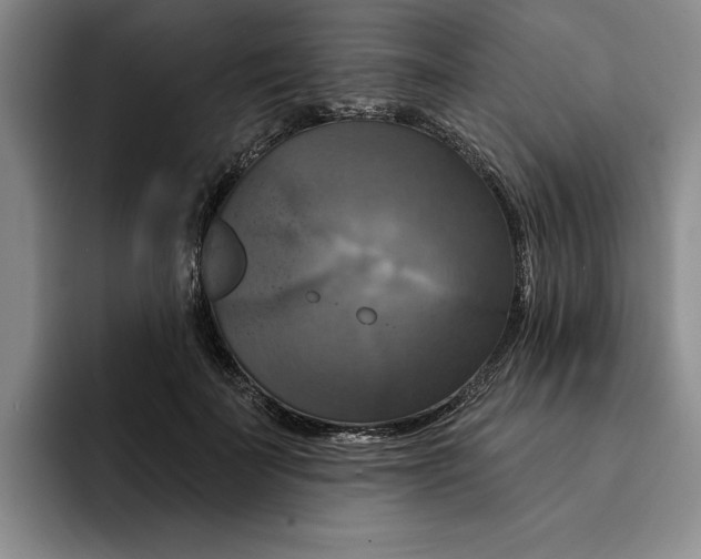 X0000091640699200709201108