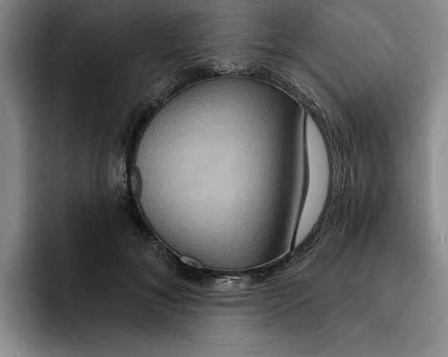 X0000091640700200709201108