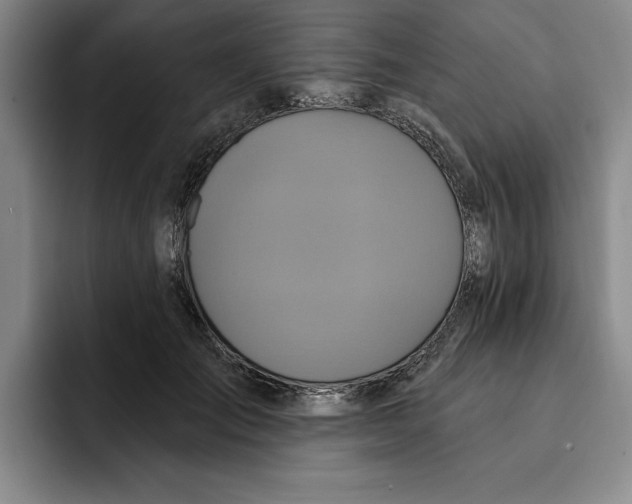 X0000091640701200709201108