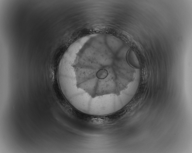 X0000091640703200709201108