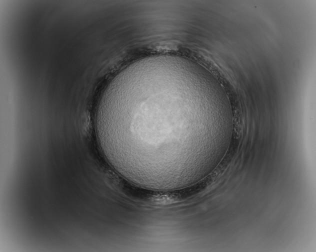 X0000091640704200709201108
