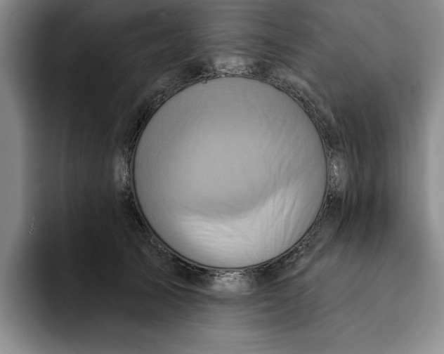 X0000091640705200709201108
