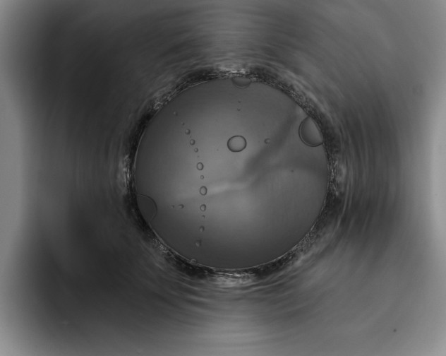 X0000091640707200709201108