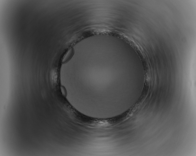 X0000091640715200709201108