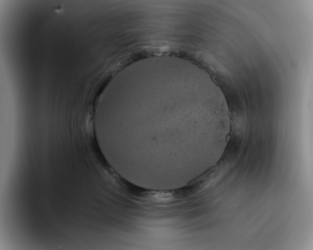 X0000091640719200709201108