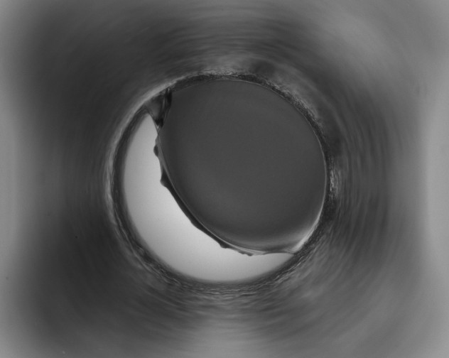 X0000091640724200709201107