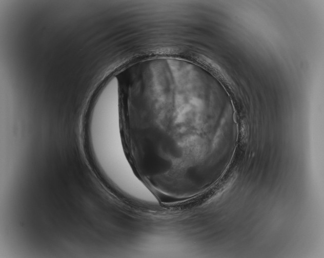X0000091640725200709201107