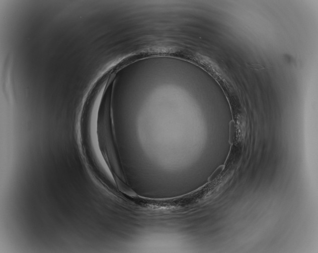 X0000091640726200709201107