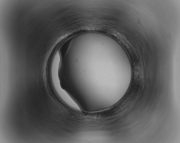 X0000091640727200709201107