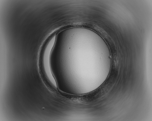 X0000091640728200709201107