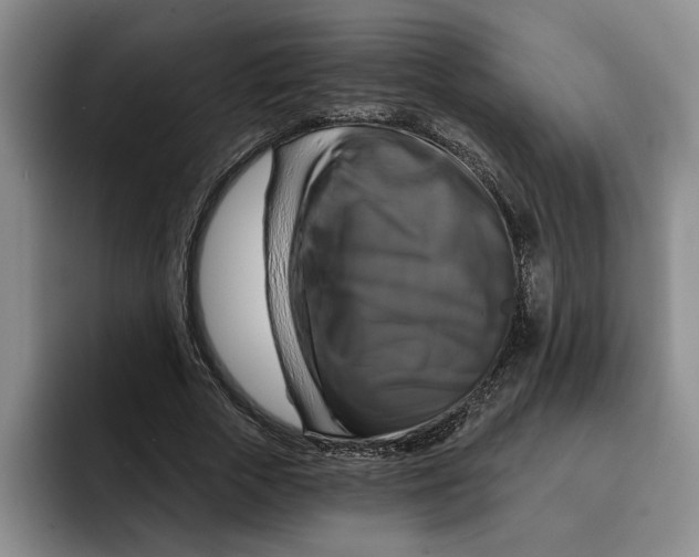 X0000091640729200709201107