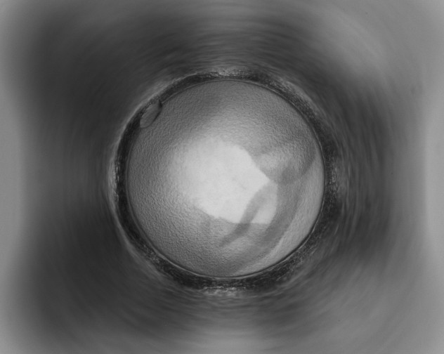 X0000091640730200709201107