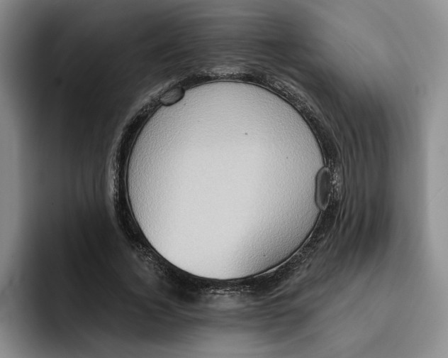 X0000091640732200709201107