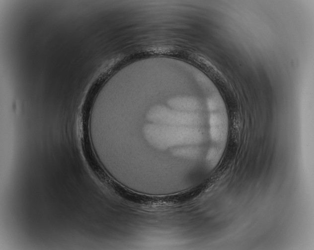 X0000091640734200709201107