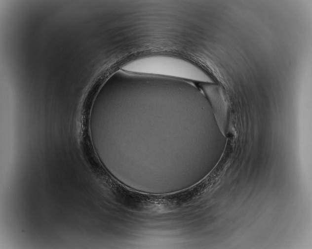 X0000091640736200709201107