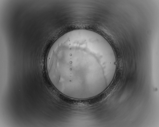 X0000091640737200709201107