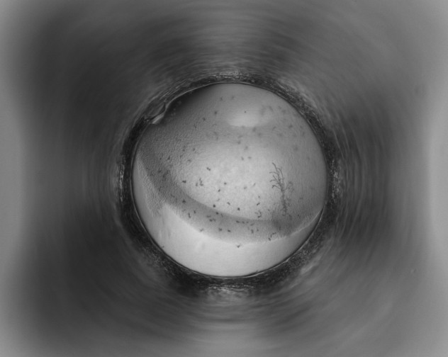 X0000091640739200709201107