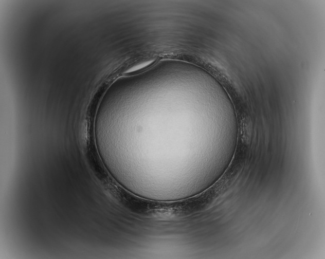 X0000091640740200709201107