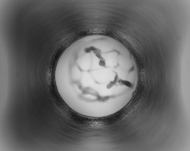 X0000091640741200709201108